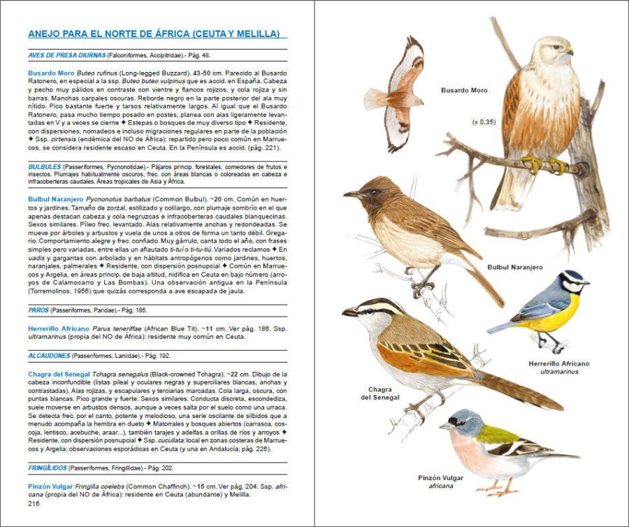 Aves de España sample page